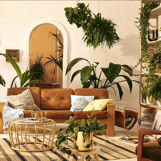 DECORACIÓN-
