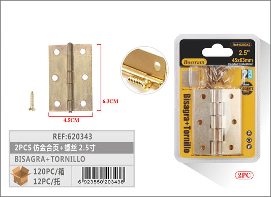 BISAGRA+TORNILLO 2.5 2PCS"